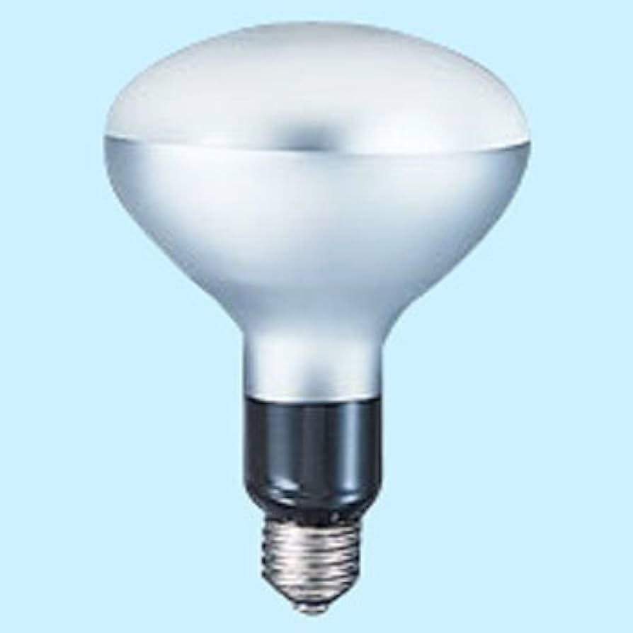 Amazon | 岩崎工業 アイ 写真用照明 PRS500W 撮影用に適した